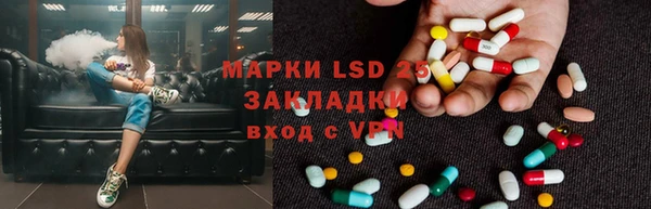 хмурый Аркадак
