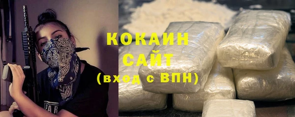 хмурый Аркадак