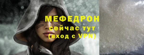 хмурый Аркадак