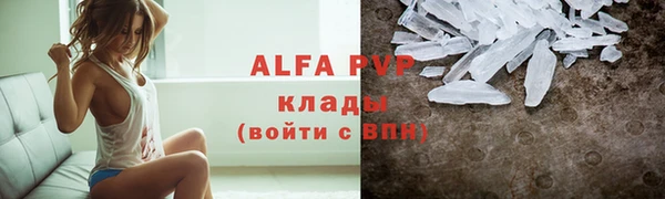 хмурый Аркадак