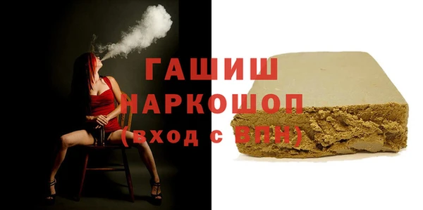 хмурый Аркадак