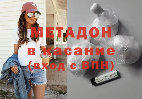 хмурый Аркадак