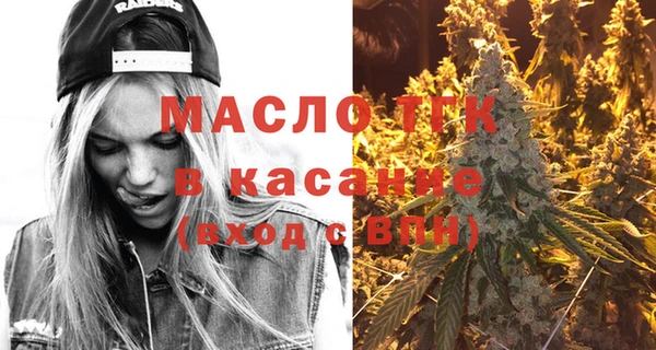 хмурый Аркадак
