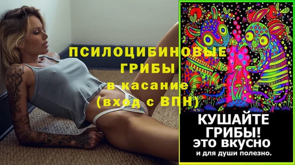 шишки Пестово