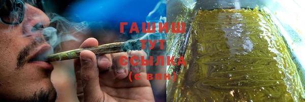 хмурый Аркадак