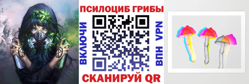 дарнет шоп  Кувандык  Псилоцибиновые грибы Psilocybe 